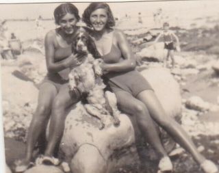 Small Old Photo Women Fashion Glamour Swimwear Beach Pet Animal Dog Sb1