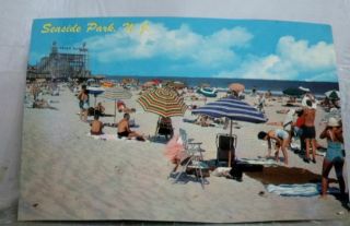 Jersey Nj Seaside Park Postcard Old Vintage Card View Standard Souvenir Post