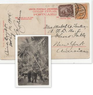 Old Post Card Of Ceylon,  With Elephant,  Posted On Egypt,  1910 (6013