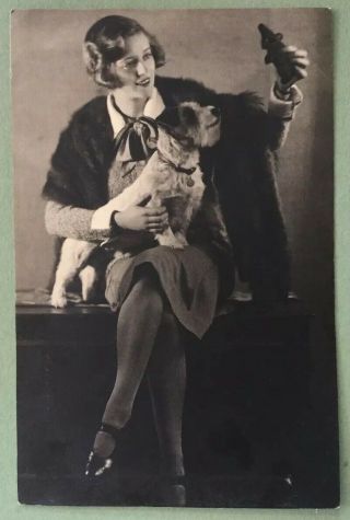 Vintage Photograph Evelyn Laye.  With.  Terrier Dog ?