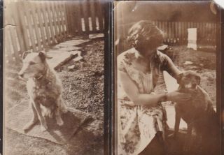 2 Old Photo Pet Dog Animal Garden Woman F2