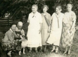 N566 Vtg Photo Women Visiting Couple With Collie Dog C Early 1900 