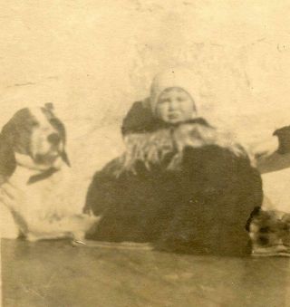J439 Vtg Photo Baby With Sleepy Hound Dog Basset C Early 1900 