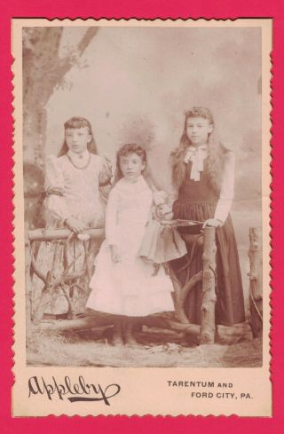 Antique Cabinet Card Photo 1800/1900 