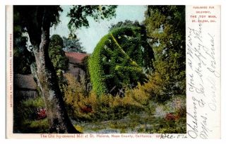 1904 Old,  Ivy - Covered Mill At St.  Helena,  Napa County,  Ca Postcard 5n14