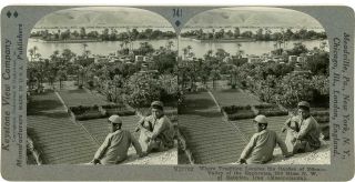 Stereoview Iraq Young Arab Boys Euphrates Date Palms Fig Trees 27702 741