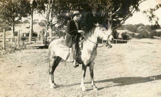 L178 Vtg Photo Man On Horseback,  Buckskin,  San Luis Obispo Ca Area Early 1900 