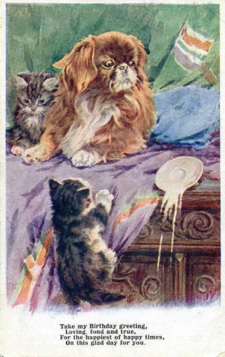 Pekingese Dog With Two Kittens And Poem Fine Old Postcard