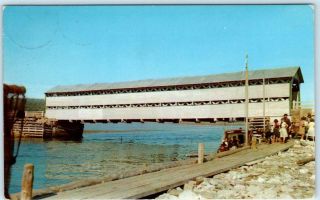 Port Daniel,  Quebec Canada Covered Bridge Ca 1950s Postcard
