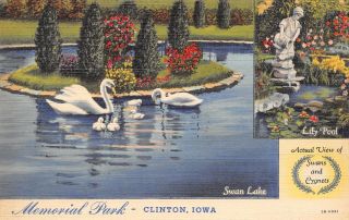 Clinton Iowa Memorial Park Cemetery Swans & Sygnets Lily Pool 1942 Linen Pc