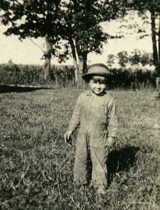 Mm96 Vtg Photo Little Boy Dungarees And Hat,  Corn Field C Early 1900 