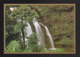 Lush Waterfall Concealed By A Rainforest Hawaii Island Heritage Postcard