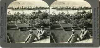 Stereoview Iraq Young Arab Boys Euphrates Date Palms Fig Tree 27702 215 20373 Fx