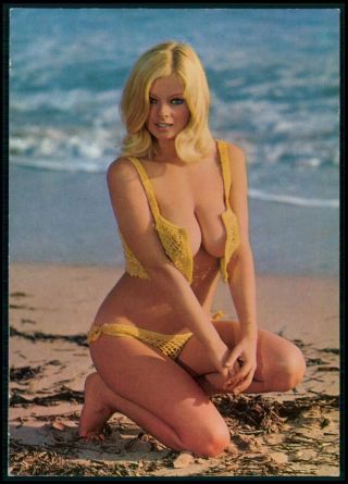 Pinup Pin Up Nude Female Model Girl Woman C1950 - 1970s Postcard Ae12