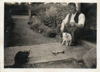 Small Vintage Photograph Man With Pet Terrier Dog & Cat