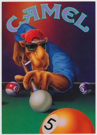 Camel Joe - Pool Player - Camel Cigarettes Advertising Postcard