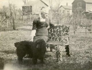 V317 Vtg Photo Woman With Her Spaniel Dog On Ornate Bench,  Indiana Early 1900 