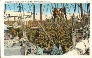 Tarpon Springs Fl Sponge Fleet After The Catch C1920 Postcard