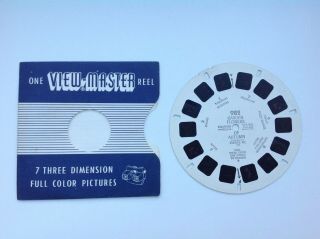 1no Vintage Sawyers Viewmaster Reel 982 Garden Flowers Of Autumn