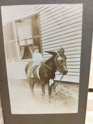 Antique Cabinet Photo Of Little Girl On Her Mule