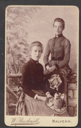 Cdv1202 Victorian Carte De Visite: 2 Ladies,  Bushnell,  Malvern