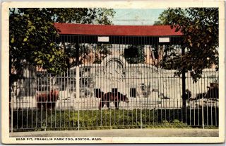 Bear Pit,  Franklin Park Zoo,  Boston Ma Vintage Postcard L16