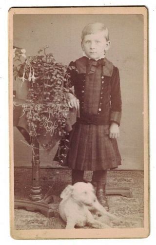 Antique 1870 Cdv Photo Little Boy Dressed As A Girl With Dog & Plant Stand