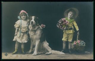 Edwardian Child Boy And Girl And Big Saint Bernard Dog Old 1910s Photo Postcard