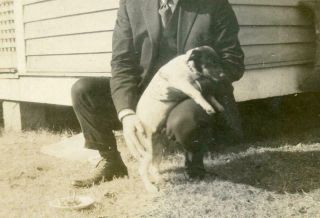 N810 Vtg Photo Man With His Puppy Dog C Early 1900 