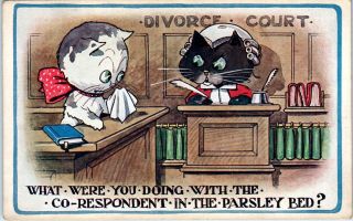Comic Cats Postcard C1910s Divorce Court What Were You Doing In Parsley Bed