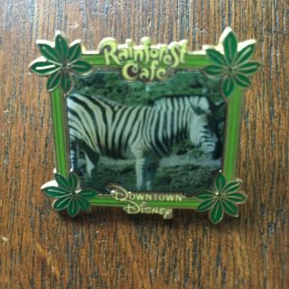 Rainforest Cafe Downtown Disney - Zebra In Frame Pin