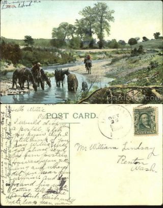 Cowboy/western 1908 Noon Antique Postcard Rdolph Sellge Pub.  Co.  1c Stamp
