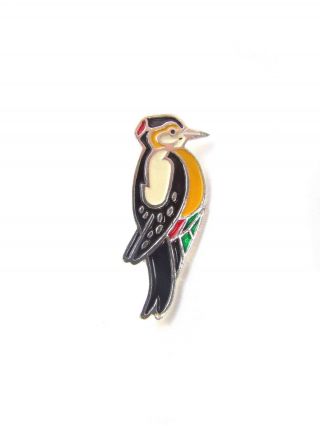 Vintage Woodpecker Pin Wild Bird Brooch Ficker Badge Ornithology Pin Button