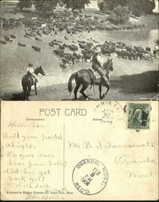 Cowboy/western 1908 Fording Milk River Antique Postcard Ridgley Calendar Co.