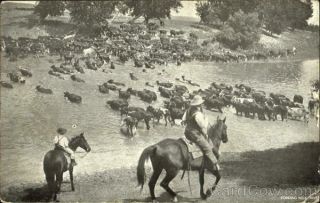 Cowboy/Western 1908 Fording Milk River Antique Postcard Ridgley Calendar Co. 2