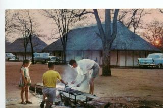 Vintage Postcard: Camp Camping At Kruger National Park South Africa