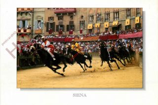 Picture Postcard - Siena,  Il Palio