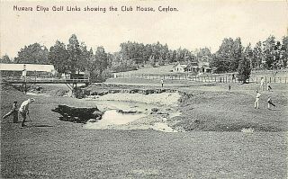 Postcard Ceylon Nuwara Eliya Golf Links & Club House