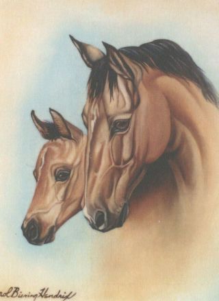 Buckskin Mare And Foal Horse Postcard - A Mothers Love