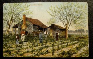 1910 Black Americana Postcard - " A Cotton Field "