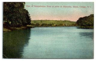 Early 1900s View Of Susquehanna River At Hiawatha Island,  Owego,  Ny Postcard