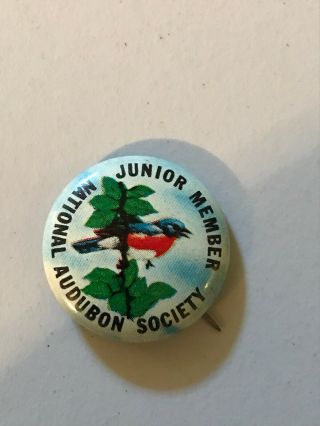 Vintage Junior Member National Audubon Society Pin Made In Usa