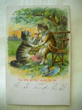 Cats In Love Antique 1910 Embossed Postcard Chromolithograph Proposal