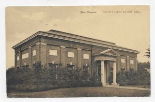 1910 South Lancaster Massachusetts Bird Museum Unposted Post Card 2137