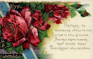 Gather Ye Rosebuds Roses Floral Glossy Vintage Postcard