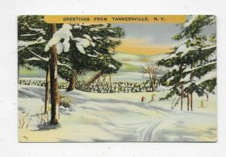 Vintage Linen Postcard Greetings From Tannersville Ny R1158