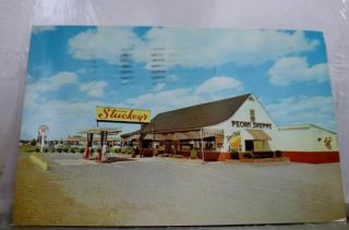 Pennsylvania Pa Stuckeys Pecan Shoppe Selinsgrove Postcard Old Vintage Card View