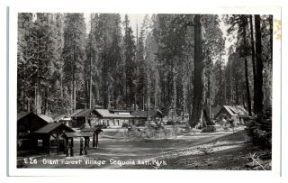 Rppc Giant Forest Village,  Sequoia National Park,  Ca Real Photo Postcard 5q18