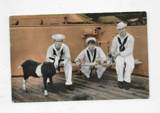 1908 Postcard Us Navy Sailors With Mascots On Warship Goat Kittens R650
