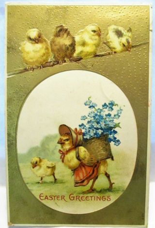 1906 Postcard Easter Greetings,  Chick In Apron & Bonnet With Basket,  Baby Chicks